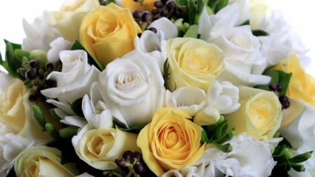 Roses! - flowers, roses, white, nature, yellow