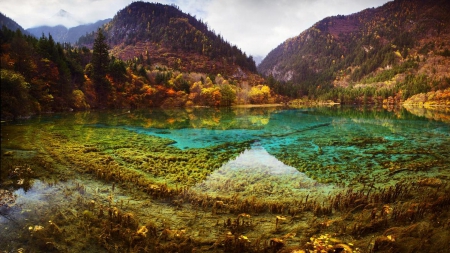 unbelievable lake landscape - autumn, clear, lake, forest, mountains