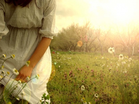 Sunlight dripping like honey - women, trees, sun, field, flowers, grass, dress