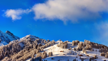 Winter, Switzerland - winter, houses, sky, Switzerland