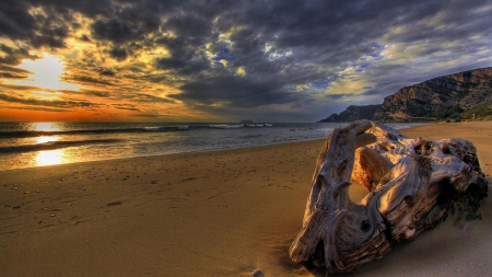 gorgeous driftwood on a beach at sunset hdr