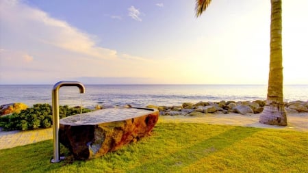 lovely trough on a tropical seashore - shore, sunshine, sea, trough, palm