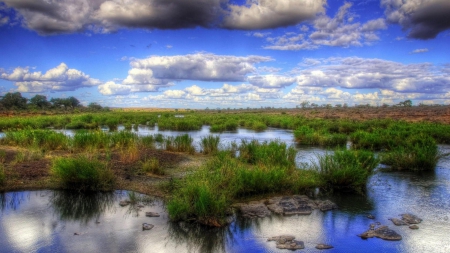 lovely clouds over a swamp hdr - clouds, hdr, swamp, grass, rocks, sky