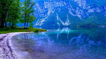 glassy mountain lake - lake, trees, mountain, reflection, shore