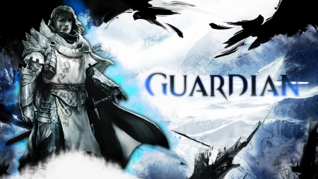 Guild Wars 2 - Guardian - winter, warrior, blue, sword, cool, armor, black, awesome, freeze, cold, guardian, shield, moutain, sky, guild wars 2