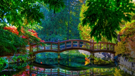 fabulous park bridge - nature, lake, trees, forest, reflection, park, bridge, creek