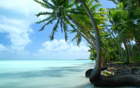 Fanning Atoll, Kiribati - shoreline, beach, pacific ocean, clouds, paradise, palms, lagoon, island