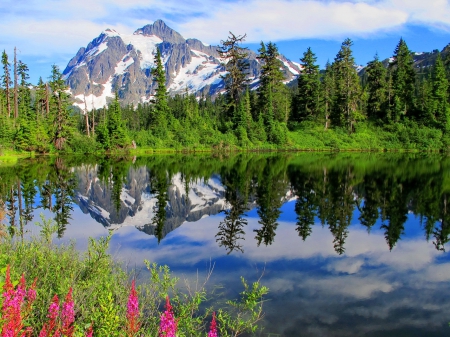 North Cascades National Park - cascades, summer, landscape, mount, spring, forest, reflection, mountain, flowers, shore, peak, cliffs, lake, greenery, national park, trees, beautiful, snowy, lovely, freshness, north, wildflowers, rocks