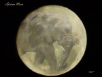 African Moon