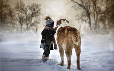 Sweet Love - trees, animals, path, winter time, dog, dogs, snowy, love, winter, child, nature, woods, forest, boy, snow, splendor, winter splendor