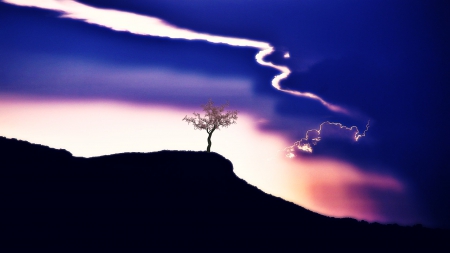 edge - edge, nature, tree, sky