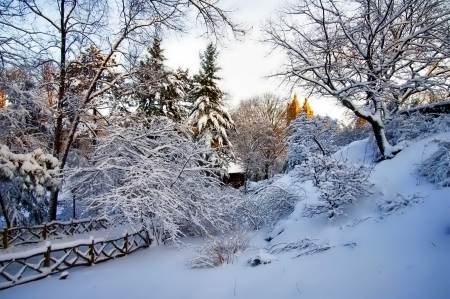 Winter - snowflakes, splendor, snow, photo, sky, sun, trees, winter, beautiful, photography, lovely, tree, wonderful, ice, nature, snowflake, cold