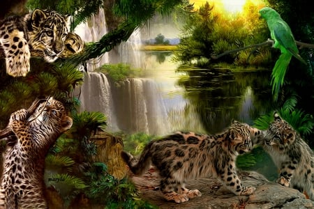 leopard - stone, cat, trees, water, sunset, waterfall, bird, nature, leopard, jungle, parrot, animal, rock, a leopard cub, wild life, tiger