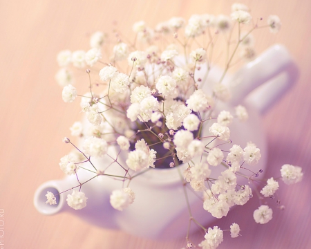 Still life - flowers, tea pot, still life, soft