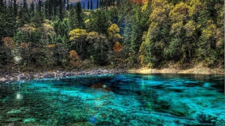 sun rays over a clear lake hdr - rays, clear, hdr, lake, forest, sun