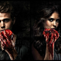 Stefan and Elena