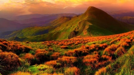 mountainside in autumn - slope, view, autumn, clouds, mountains, bushes