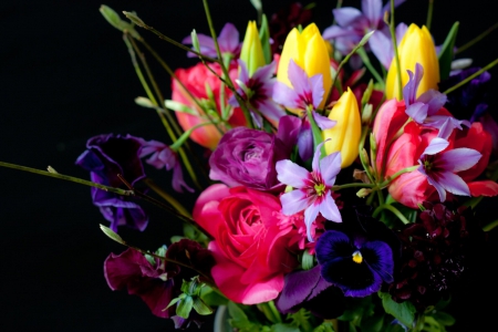 Flowers - flowers, tulips, black background, pansy, flower