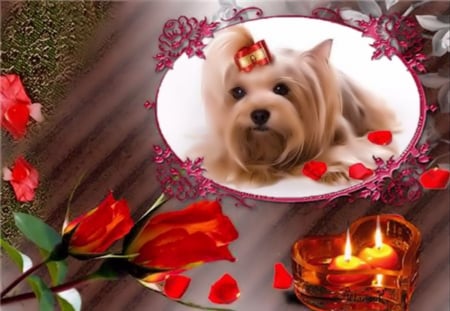 Dog in Springtime - dog, tulips, candels, ribbin