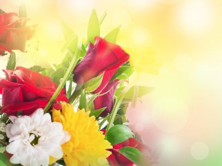 Beautiful Flowers! - nature, bouquet, flowers, beautiful