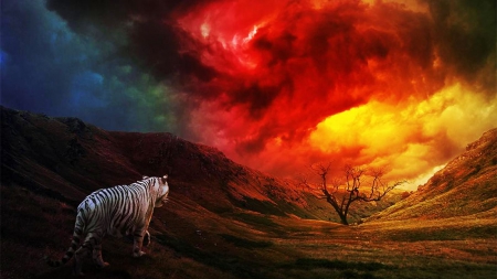 Tiger and Fire - predator, red, artwork, colors, sky