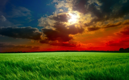 Nature - sky, nature, landscape, grass