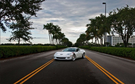 Chevrolet Corvette Z06 - chevrolet, cool, car, z06, fun, corvette