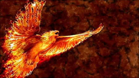 Phoenix - eagle, photoshop, phoenix, fantasy