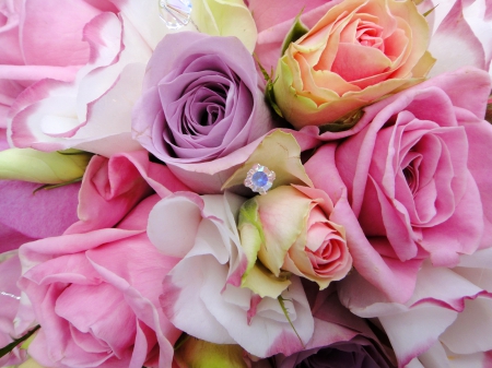 Lovely Roses! - nature, roses, bouquet, flowers, lovely