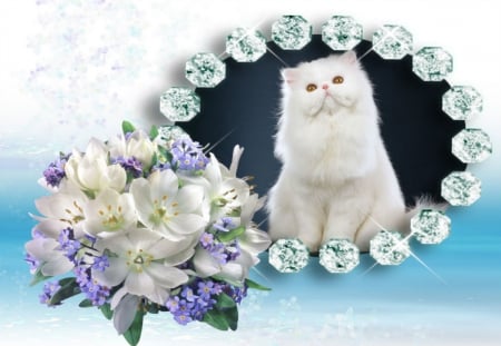 Waiting for Spring - white cat, blue flowers, white flowers, Diamonds