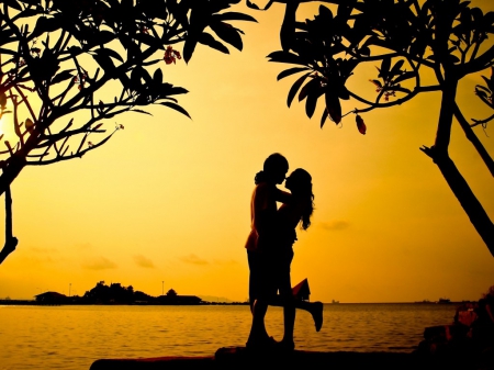 Sweet couple - silhouette, trees, couple, lovers