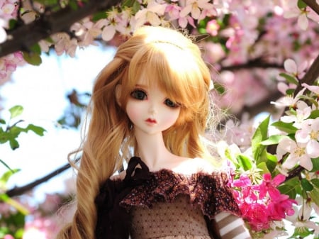 Cute doll - doll, girls, toy, cute