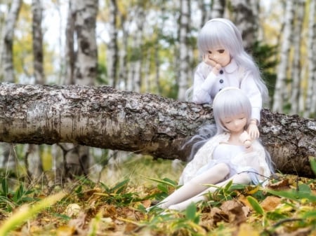 Cute dolls - girls, cute, dolls, toy