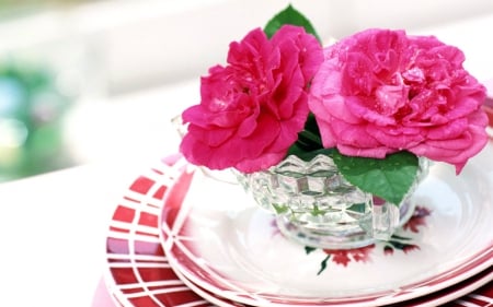 Still life - flowers, plate, petals, Still life