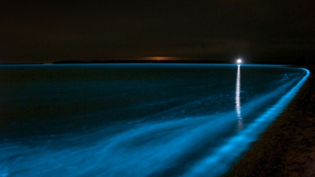 bioluminescent lake australia - BLUE, LAKE, WATER, AUSTRAIA