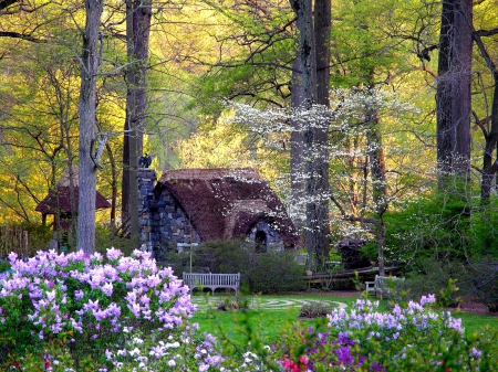 Fairy's Cottage - cottage, benches, trees, forest, woods, bench, flowers, grass