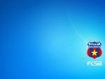 Wallpaper FC Steaua Windows 7