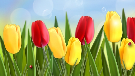 Tulips So Cheerful - bright, sky, yellow, ted, tulips, leaves, flowers, spring