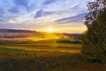 Ukraine - fields, nature, landscape, ukraine, sun, sunsets, plants, photo