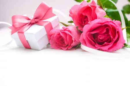 Roses - flowers, roses, pink roses, rose, petals