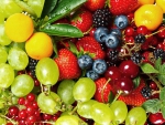 Fruits and Berries