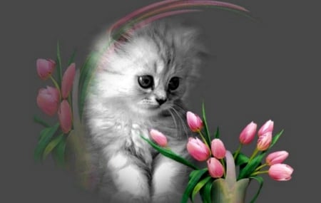 Cute Kitty - tulips, cute, cat, pink