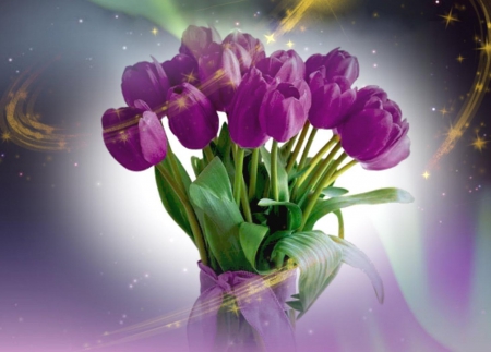 Abracadabra.......on your table - violet, for you, tulips, with love