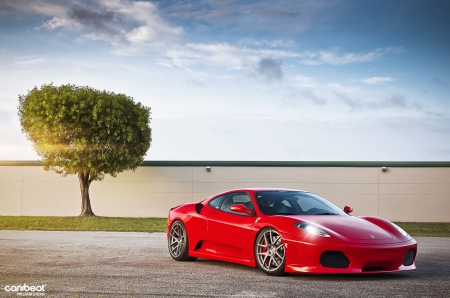 Red Ferrari - ferrari, custom wheels, outdoors, sports car