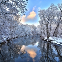 Lake Reflection