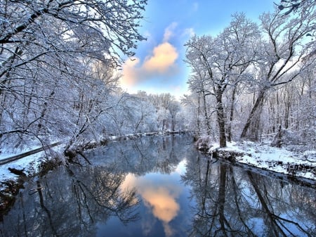 Lake Reflection - nature, lake, trees, reflection, snow, winter