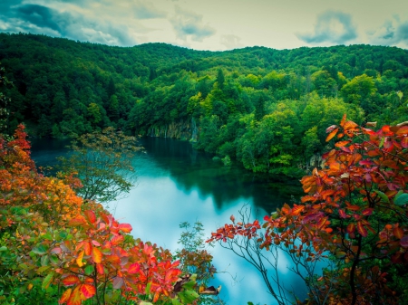 Beautiful Scenery - nature, lake, trees, red, leaves, mountains, brabches