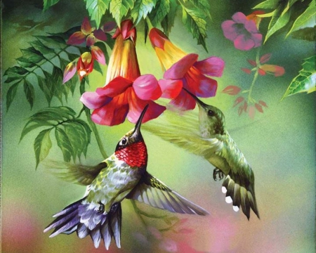 Summer Hummer - two, beautiful, hummingbirds, summer, flowers