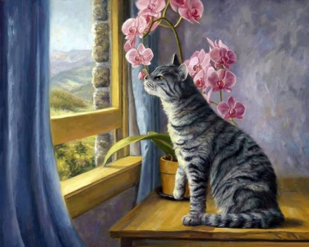 Cat Smelling Orchids - orchids, sniffing, art, cat, pink, flowers