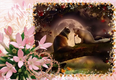 Two cats in the Moon light - flowers, moon, hearts, cat with rose, stars